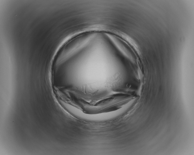 X0000111851334200908131431