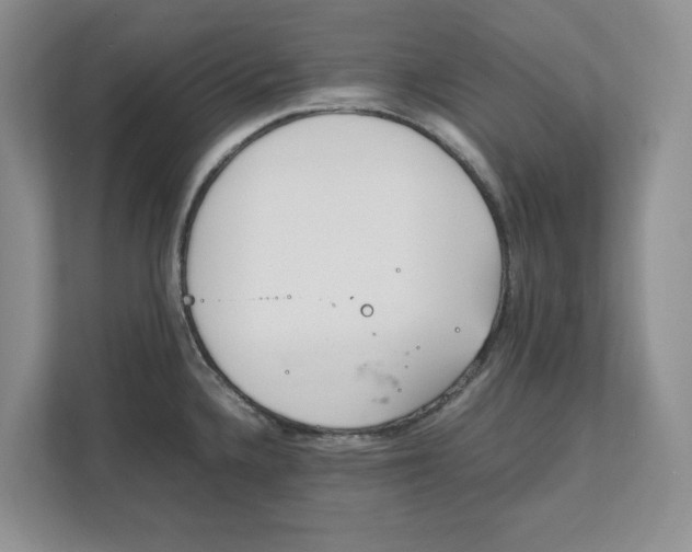 X0000111851336200908131431