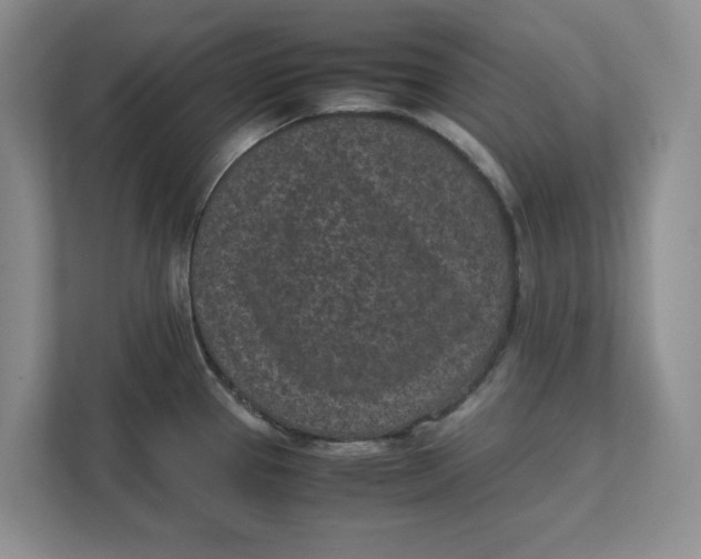 X0000111851337200908131431