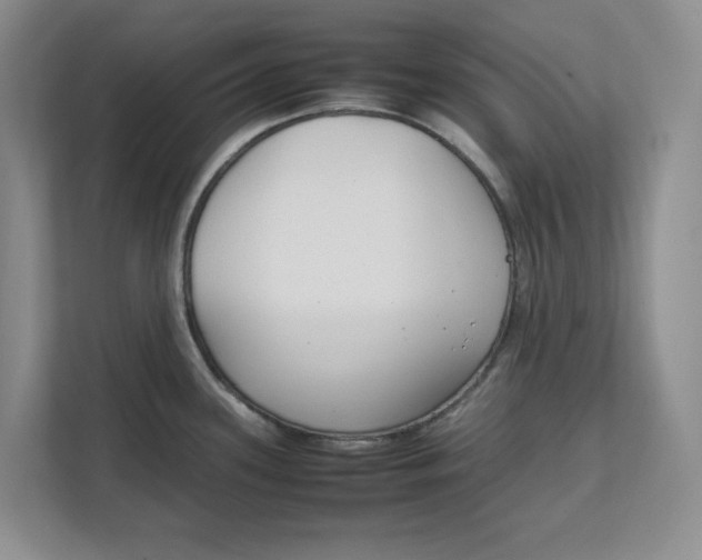 X0000111851339200908131431