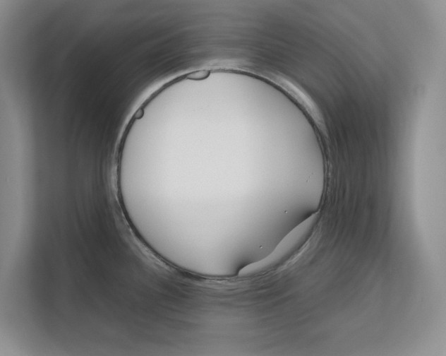 X0000111851340200908131431