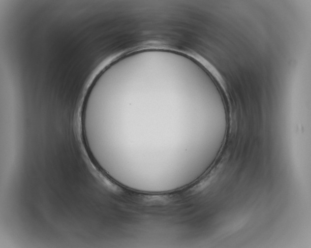 X0000111851341200908131431