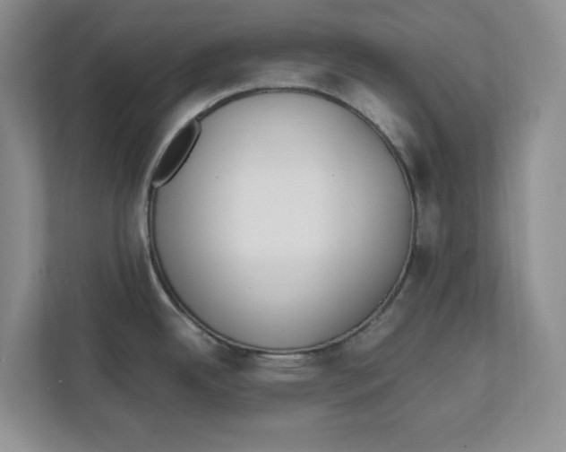 X0000111851342200908131431