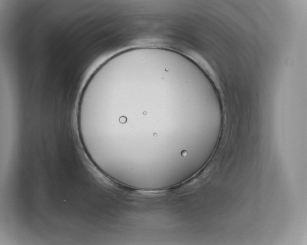 X0000111851344200908131431