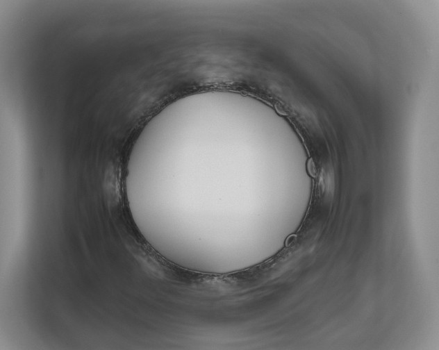 X0000111851348200908131431