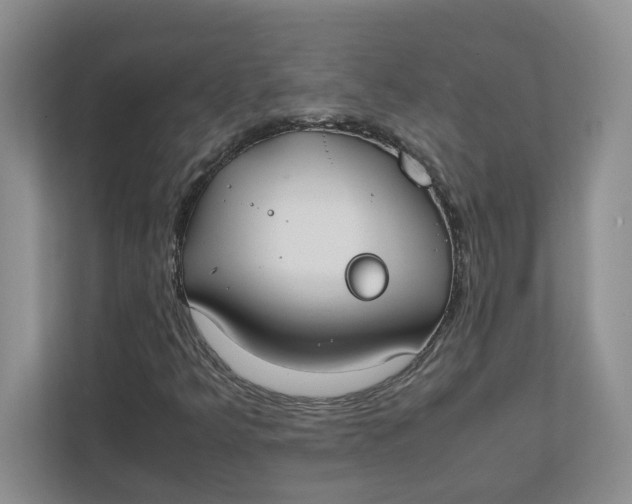 X0000111851349200908131431