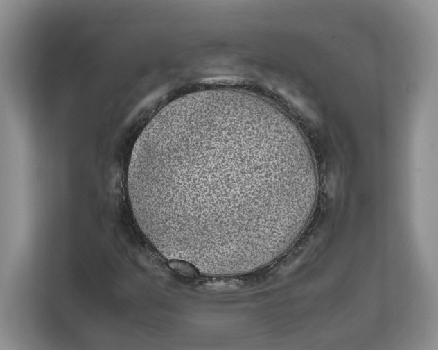 X0000111851351200908131431