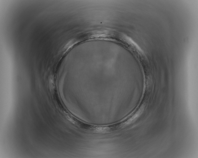 X0000111851353200908131430