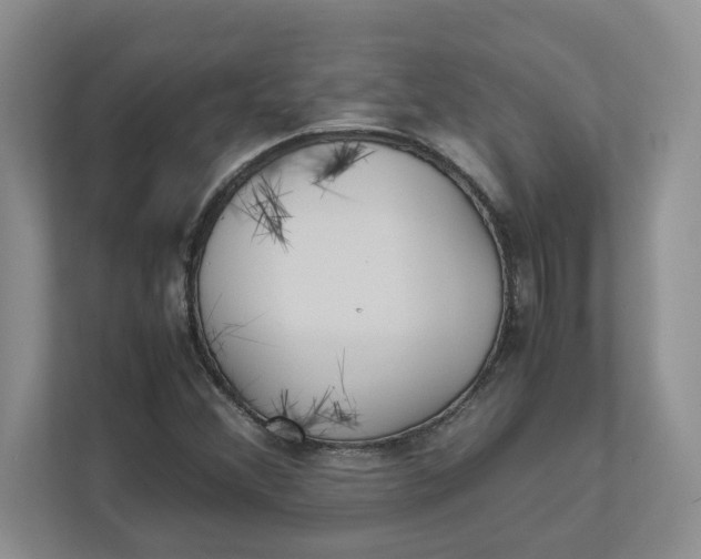 X0000111851356200908131430