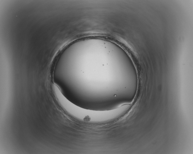 X0000111851357200908131430