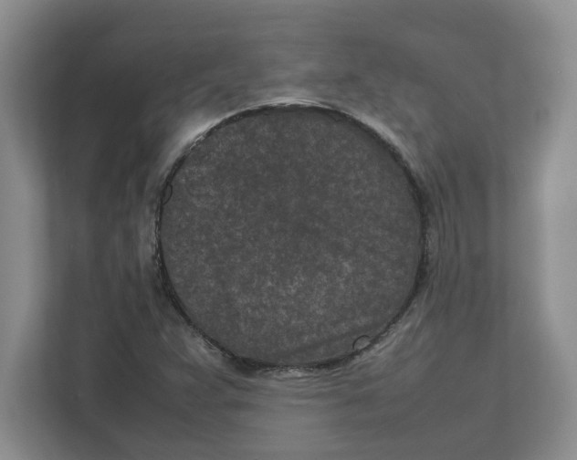 X0000111851359200908131430