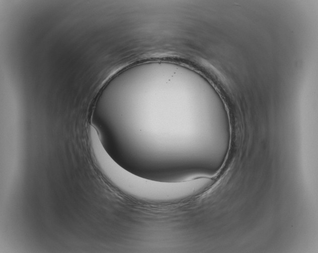 X0000111851361200908131430