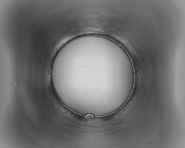 X0000111851363200908131430