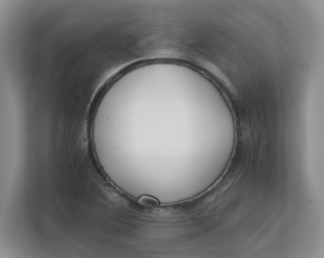 X0000111851364200908131430