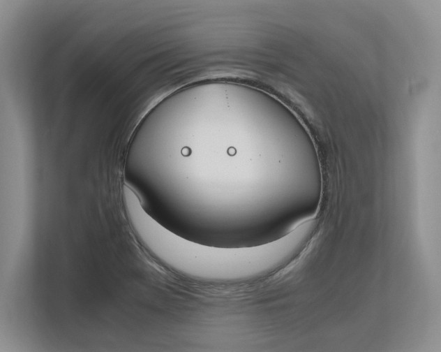 X0000111851369200908131430