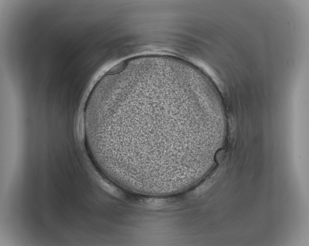 X0000111851371200908131430