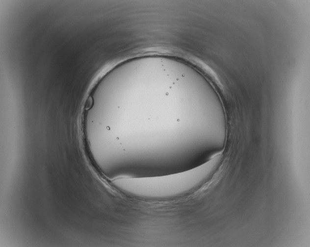 X0000111851373200908131430