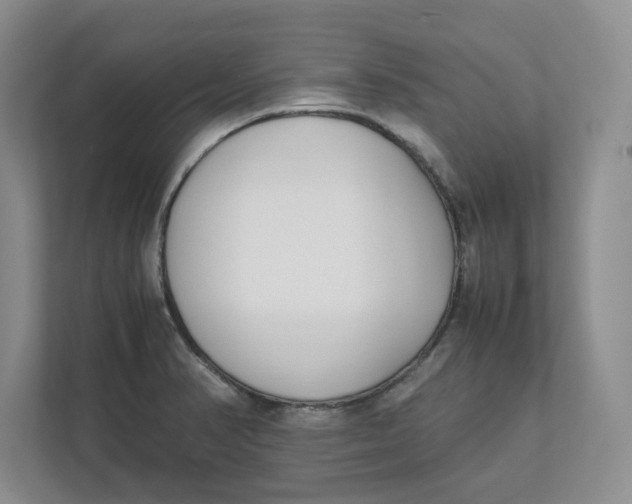 X0000111851374200908131430