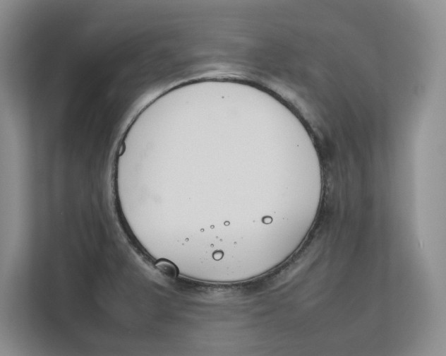 X0000111851375200908131430