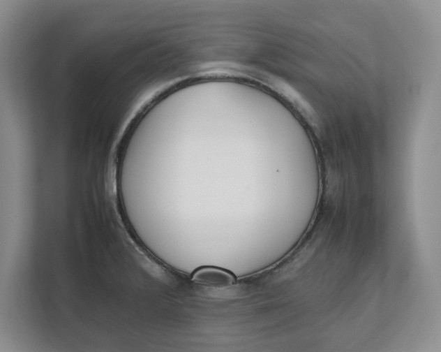 X0000111851376200908131430