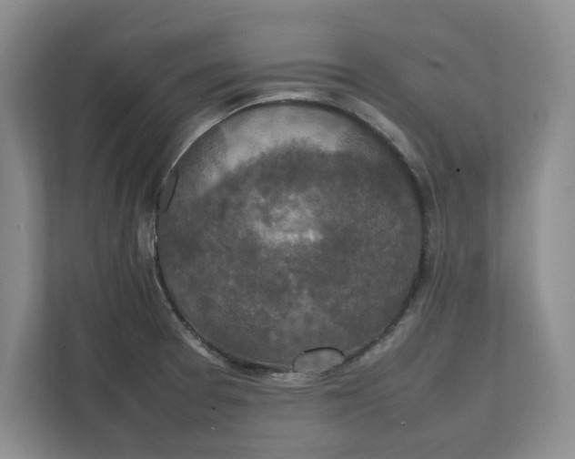 X0000111851377200908131430