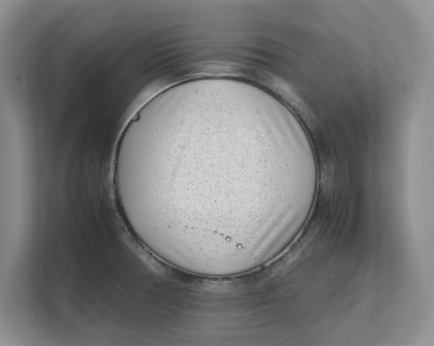 X0000111851378200908131430