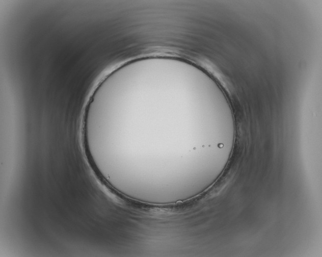 X0000111851379200908131430