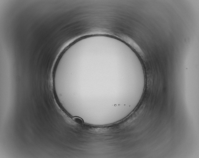 X0000111851380200908131430