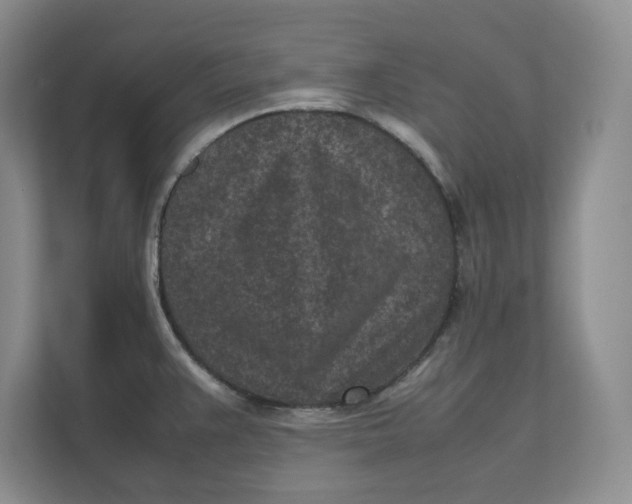 X0000111851383200908131430