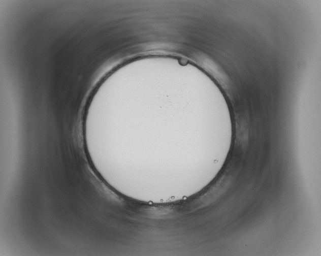 X0000111851384200908131430