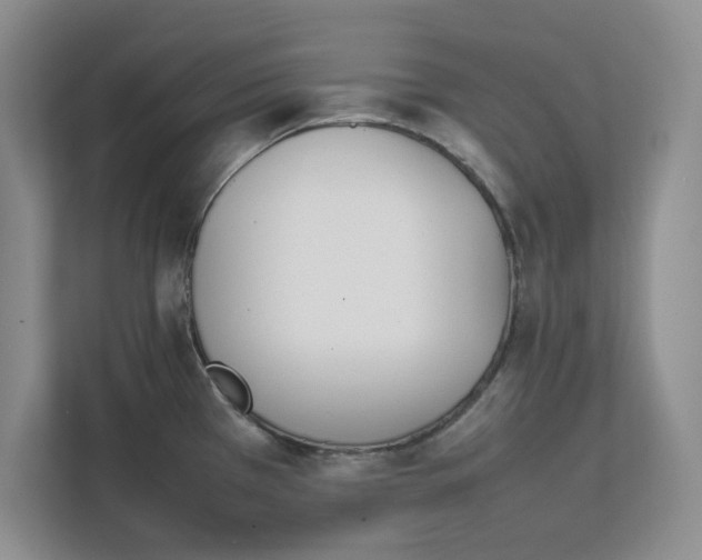 X0000111851385200908131430