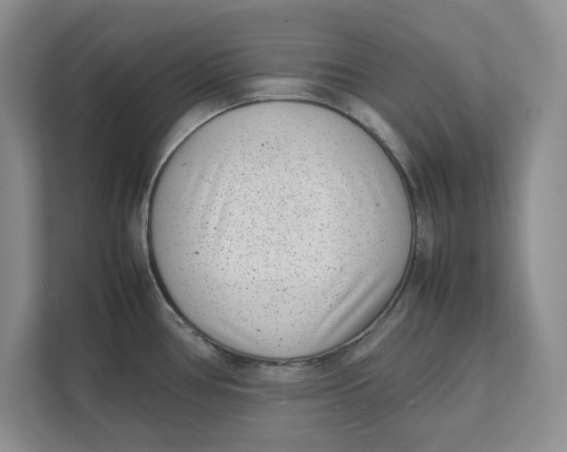 X0000111851386200908131430