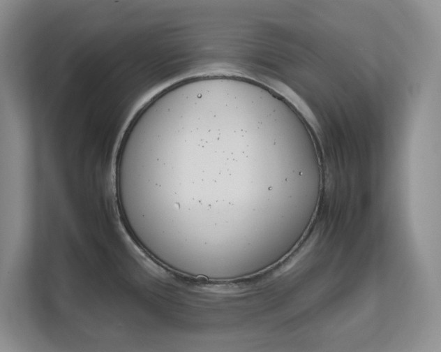 X0000111851388200908131430