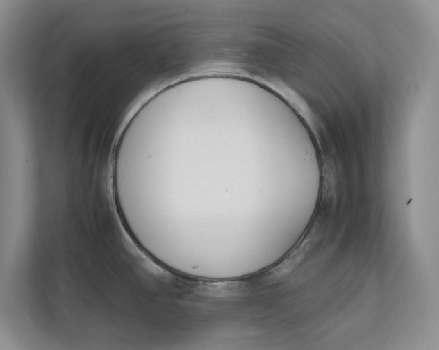 X0000111851390200908131430