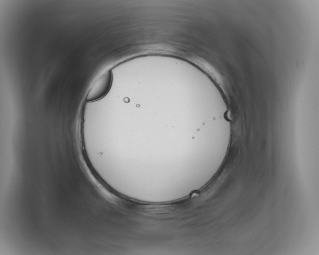 X0000111851391200908131430