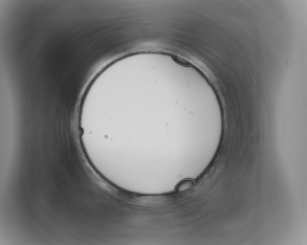 X0000111851392200908131430