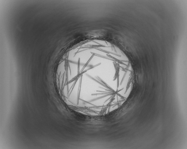 X0000111851393200908131429