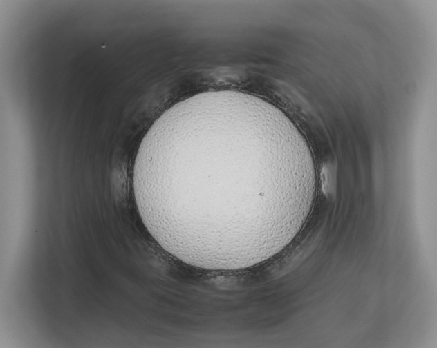 X0000111851395200908131429