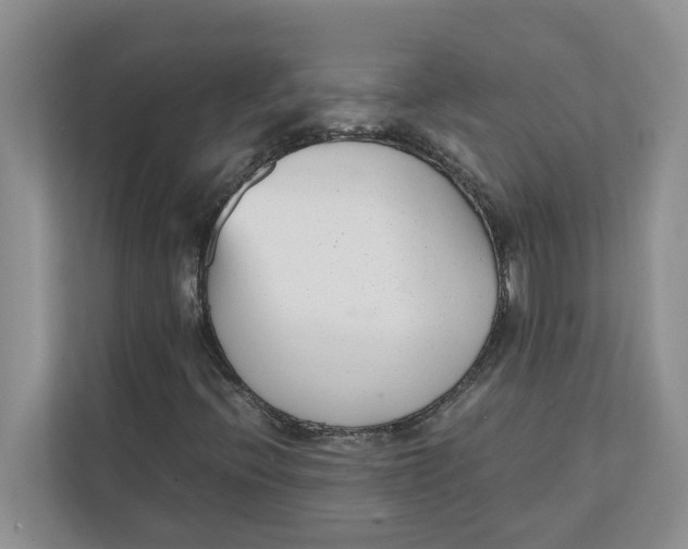 X0000111851396200908131429