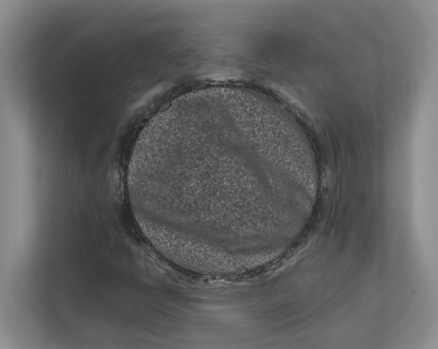 X0000111851398200908131429