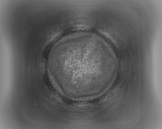 X0000111851399200908131429