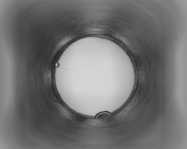 X0000111851402200908131429