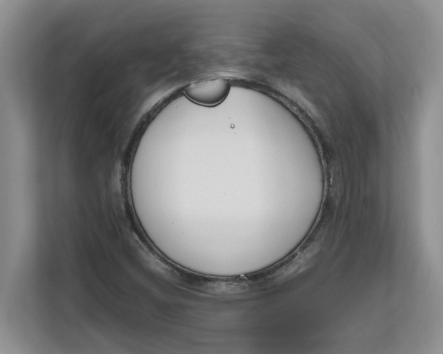 X0000111851404200908131429