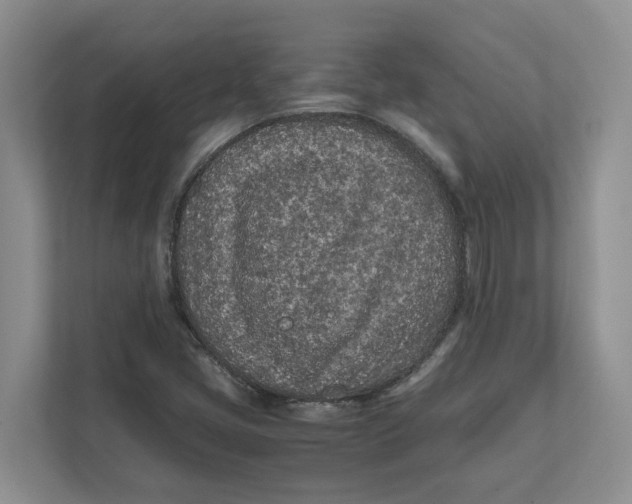 X0000111851405200908131430