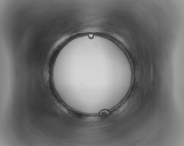 X0000111851406200908131430