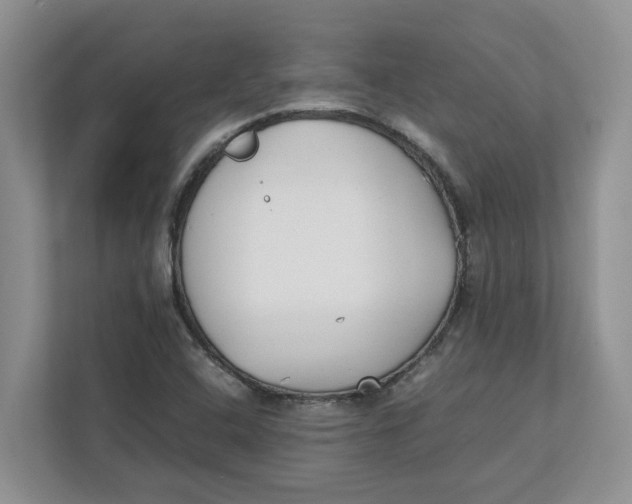 X0000111851408200908131430