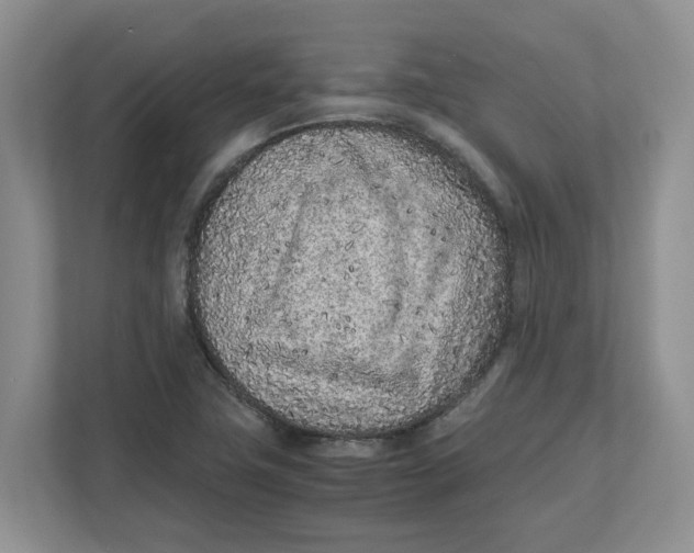 X0000111851411200908131430