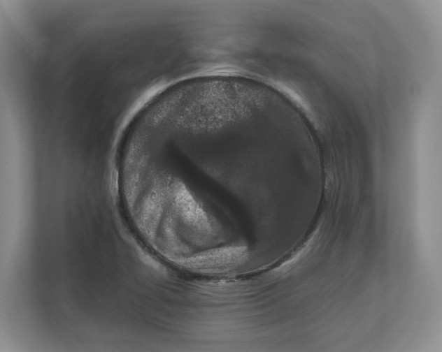 X0000111851414200908131430