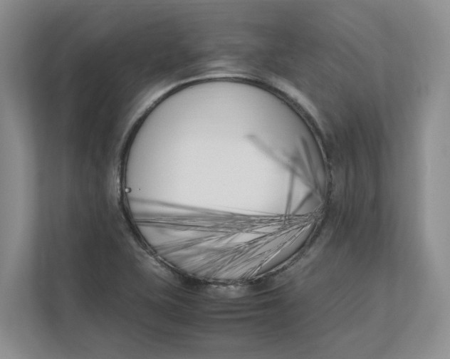 X0000111851415200908131430