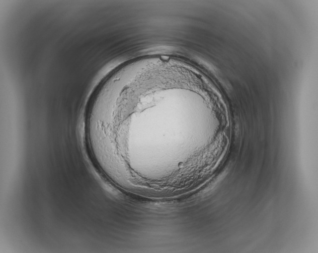 X0000111851418200908131430